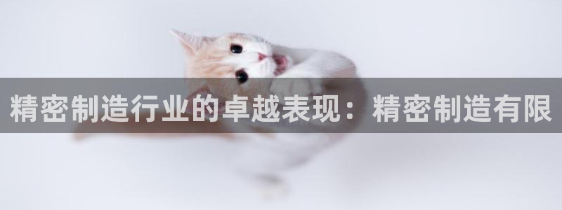 彩神vi官网版：精密制造行业的卓越表现：精密制造有限