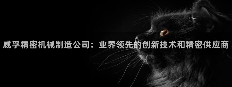 所有彩神购买首页中心：威孚精密机械制造公司：业界领先的创新技术和精密供应商