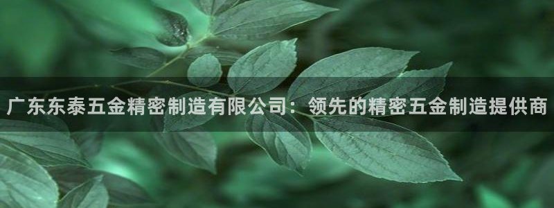 彩神大发如何观察走势：广东东泰五金精密制造有限公司：领先的精密五金制造提供商