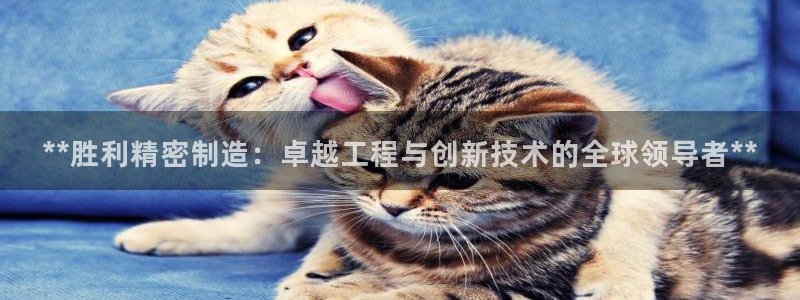 彩神购彩-购彩大厅入口500