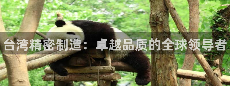 彩神v8客户端