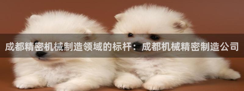 彩神viii官网