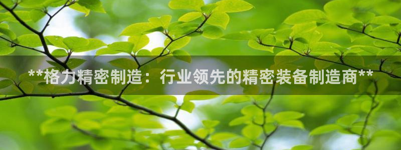 彩神VII购彩中心