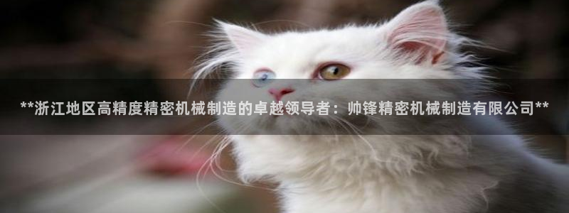 彩神v8app