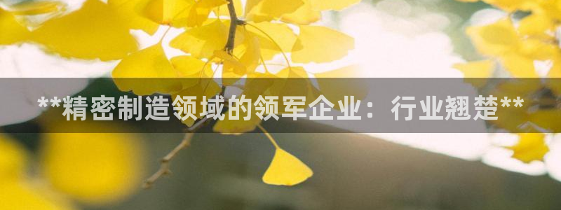 彩神平台能提现吗