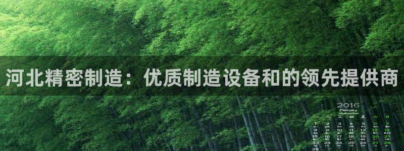 彩神vll购彩大厅大众