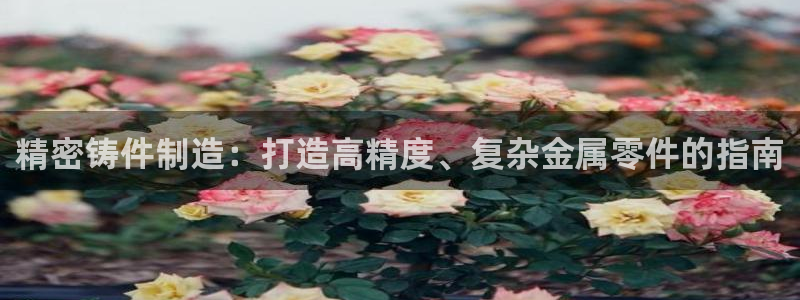 彩神vll首页