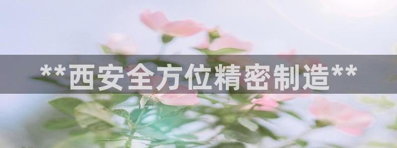 彩神是正规平台吗安全吗