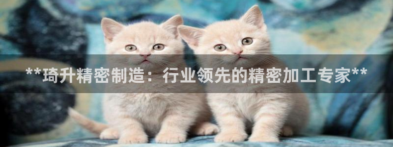 彩神ii官方网