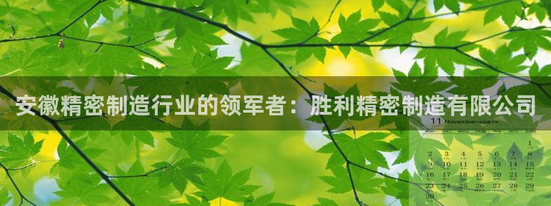 新版彩神v8登录