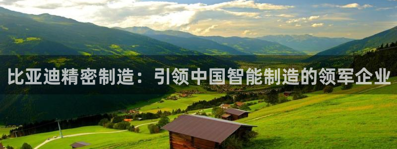 新版彩神v8登录不上去