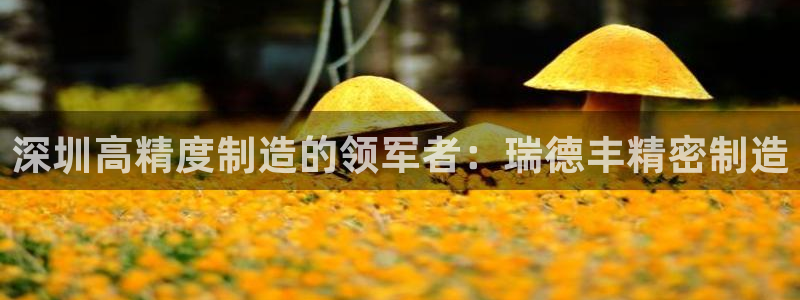 彩神官方网站登录是多少