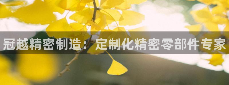彩神v集团有限公司