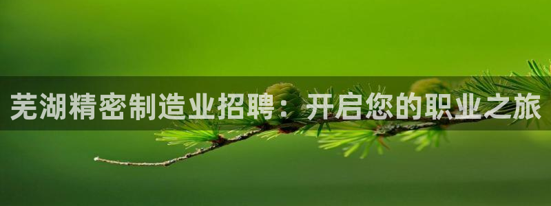 新版彩神v8登录教程