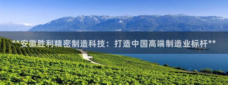 彩神到底能不能赚钱