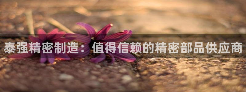 彩神vllⅰ购彩大厅