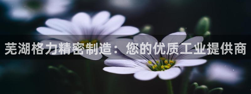 彩神iv争霸购彩大厅