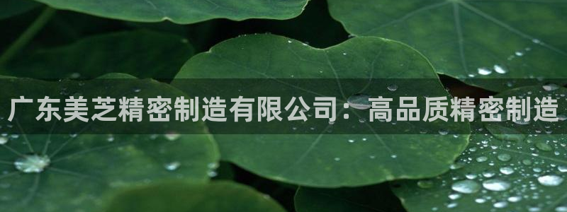 彩神v8平台正规吗