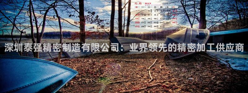 彩神app赚钱是真是假