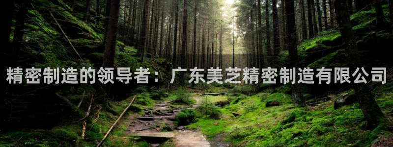 彩神v下载安装
