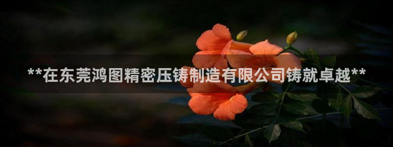 彩神大发如何观察走势：**在东莞鸿图精密压铸制造有限公司铸就卓越**