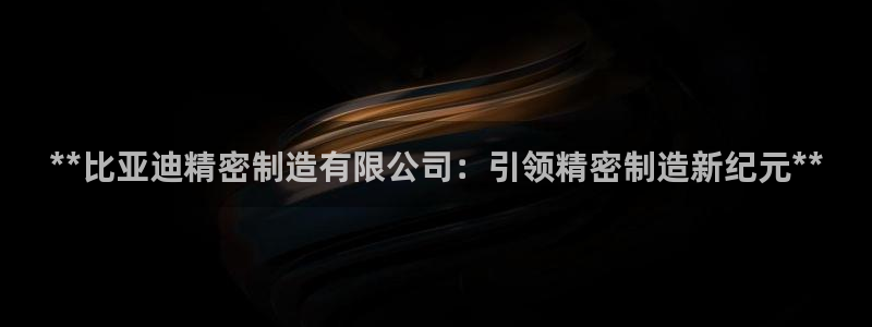 彩神通官网下载：**比亚迪精密制造有限公司：引领精密制造新纪元**