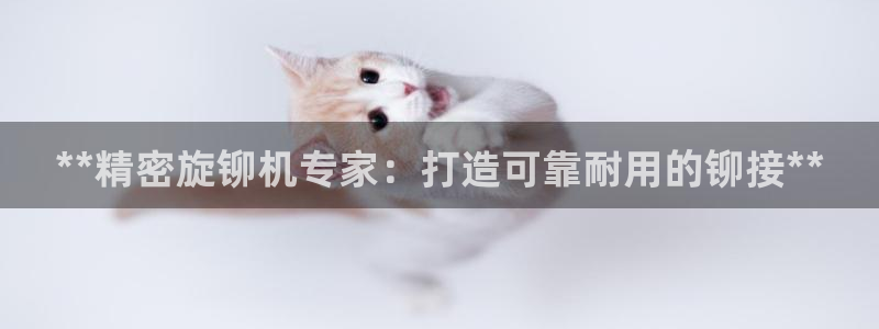 彩神ix能赚钱吗：**精密旋铆机专家：打造可靠耐用的铆接**