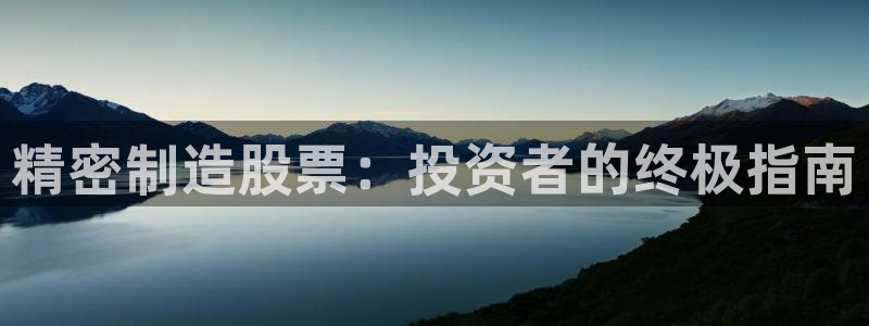 彩神v秘聊号码：精密制造股票：投资者的终极指南