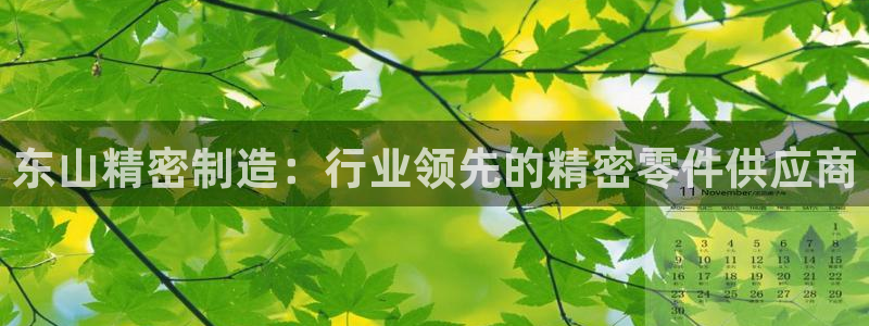 彩神VII官方版：东山精密制造：行业领先的精密零件供应商