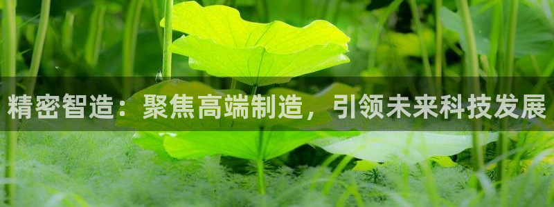 彩神v8是一个什么平台游戏：精密智造：聚焦高端制造，引领未来科技发展