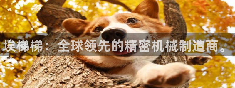 彩神Vii购彩-购彩大厅：埃梯梯：全球领先的精密机械制造商。