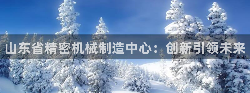 彩神可以提现吗：山东省精密机械制造中心：创新引领未来