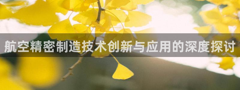 彩神是怎样一个平台赚钱的：航空精密制造技术创新与应用的深度探讨