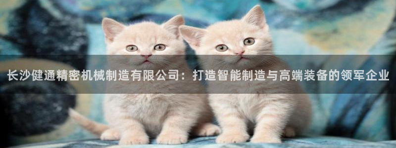 彩神大发是不是人为操作：长沙健通精密机械制造有限公司：打造智能制造与高端装备的领军企业