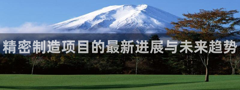 下载彩神争霸谁与我争锋：精密制造项目的最新进展与未来趋势