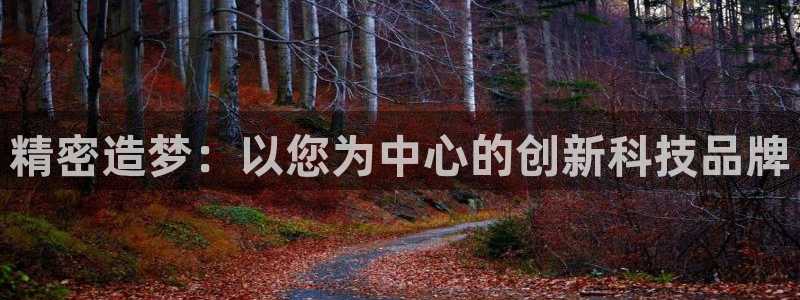 彩神v8购彩大厅登：精密造梦：以您为中心的创新科技品牌