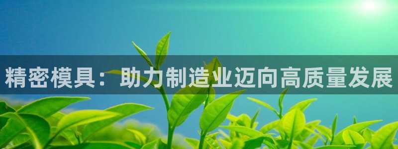 彩神官方邀请码是多少：精密模具：助力制造业迈向高质量发展