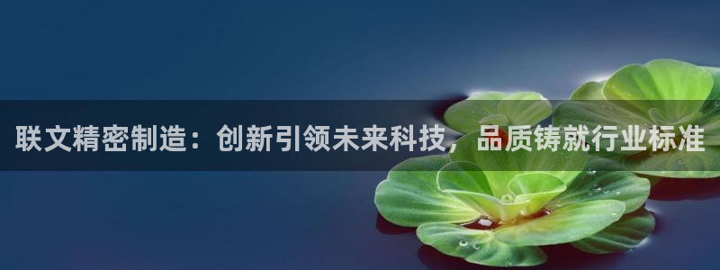 彩神v8下载app：联文精密制造：创新引领未来科技，品质铸就行业标准