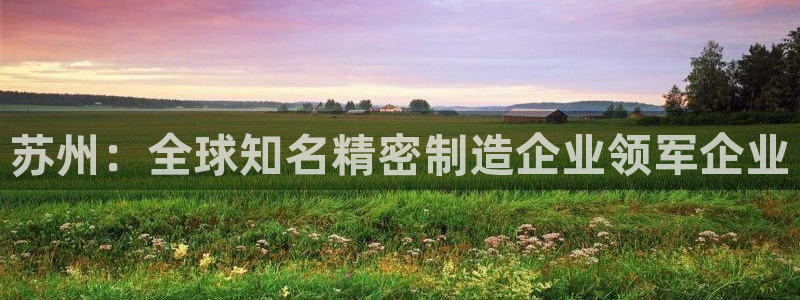 彩神8是正规平台吗知乎：苏州：全球知名精密制造企业领军企业