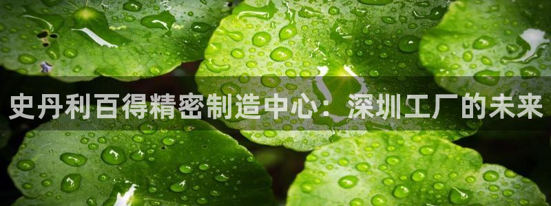 彩神app赚钱是真是假：史丹利百得精密制造中心：深圳工厂的未来