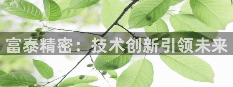 彩神8是正规平台吗：富泰精密：技术创新引领未来