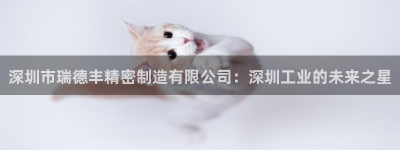 彩神8是正规平台吗知乎：深圳市瑞德丰精密制造有限公司：深圳工业的未来之星