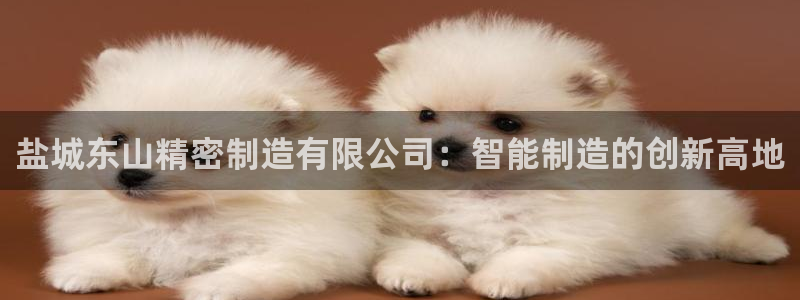 彩神v集团有限公司：盐城东山精密制造有限公司：智能制造的创新高地