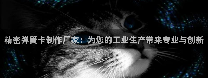 彩神赢的钱是哪里来的：精密弹簧卡制作厂家：为您的工业生产带来专业与创新