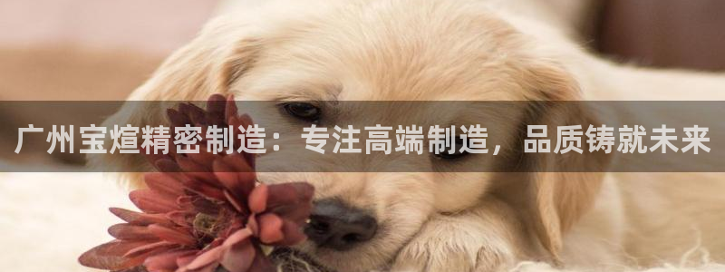 彩神v秘聊号码：广州宝煊精密制造：专注高端制造，品质铸就未来