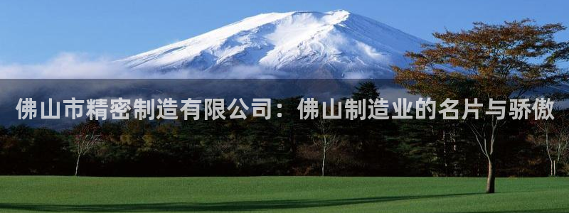 彩神vll首页：佛山市精密制造有限公司：佛山制造业的名片与骄傲