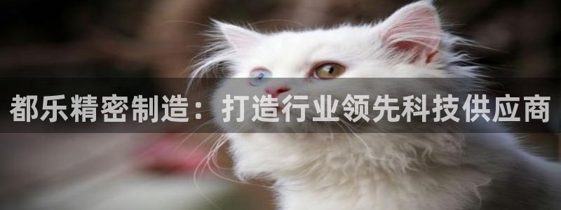 新版彩神v8登录不了：都乐精密制造：打造行业领先科技供应商