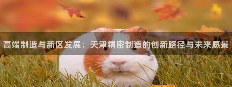 彩神v8是真的挣钱吗安全吗：高端制造与新区发展：天津精密制造的创新路径与未来愿景