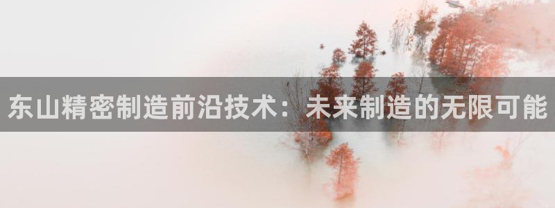 彩神v8下载：东山精密制造前沿技术：未来制造的无限可能