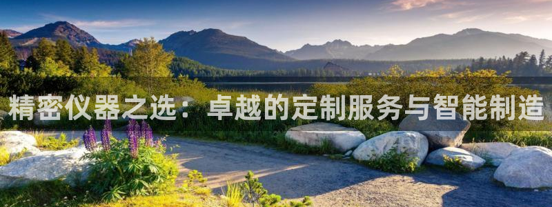 彩神购彩-购彩大厅入口36fr：精密仪器之选：卓越的定制服务与智能制造